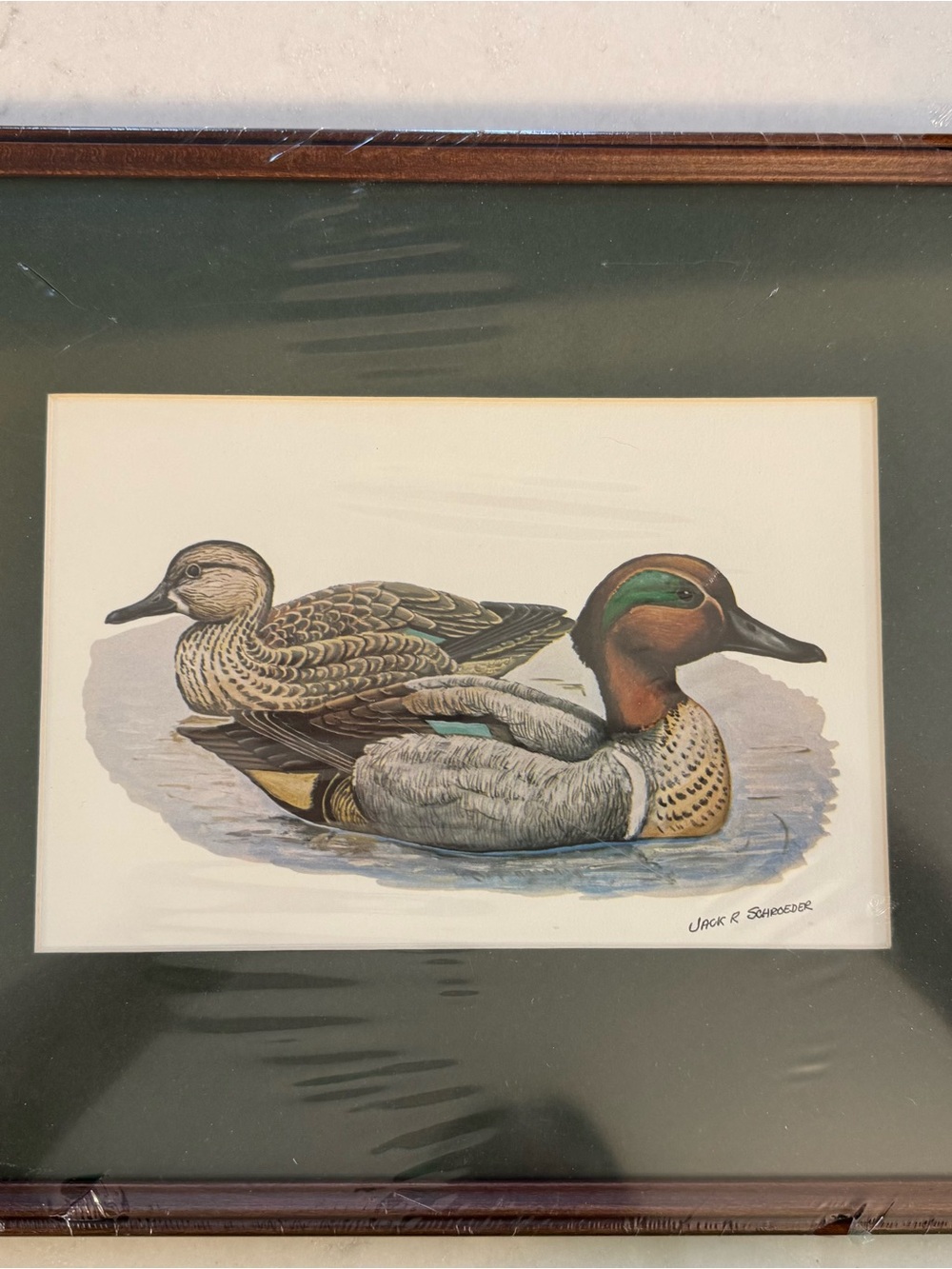 Wildlife Duck Art Print in Green and Brown by